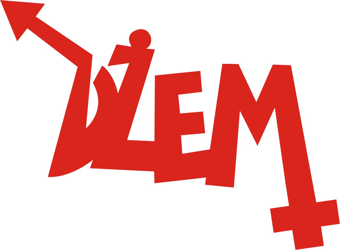 dzem logo
